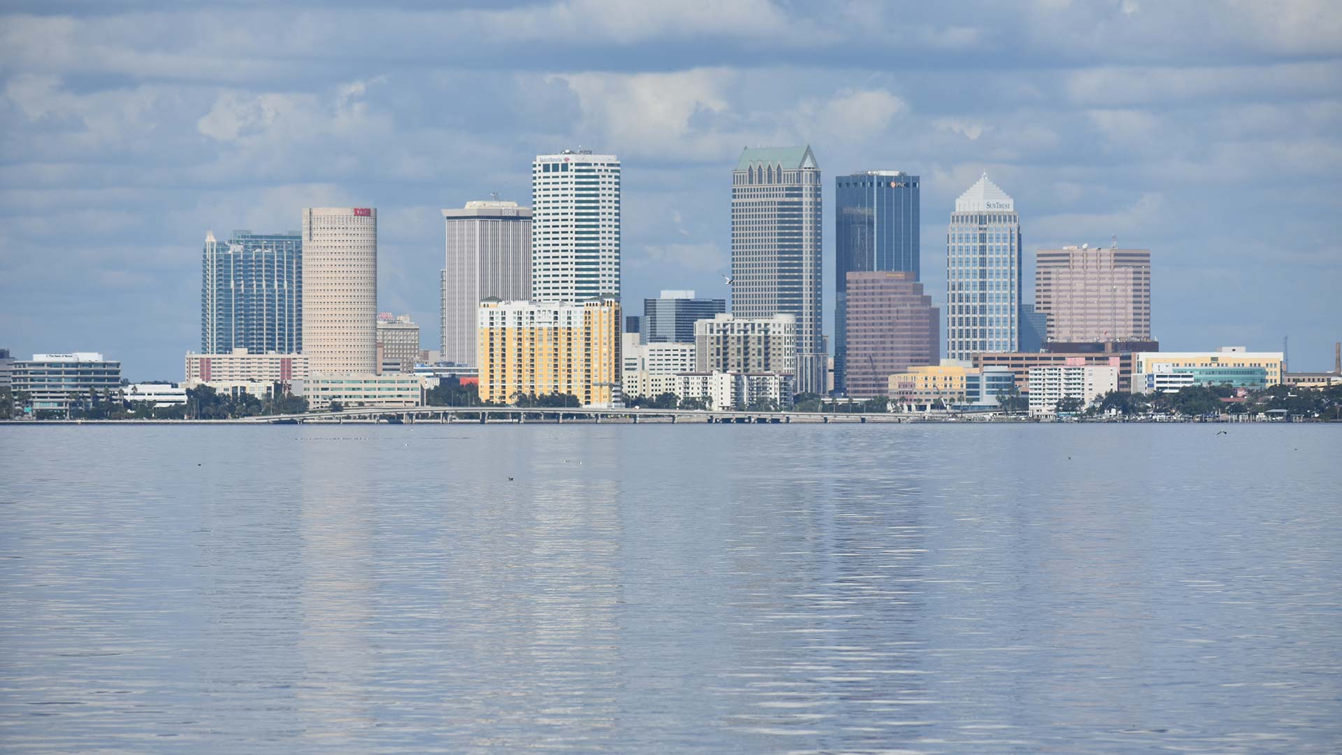 Tampa city skyline view from Tampa Bay, Florida.