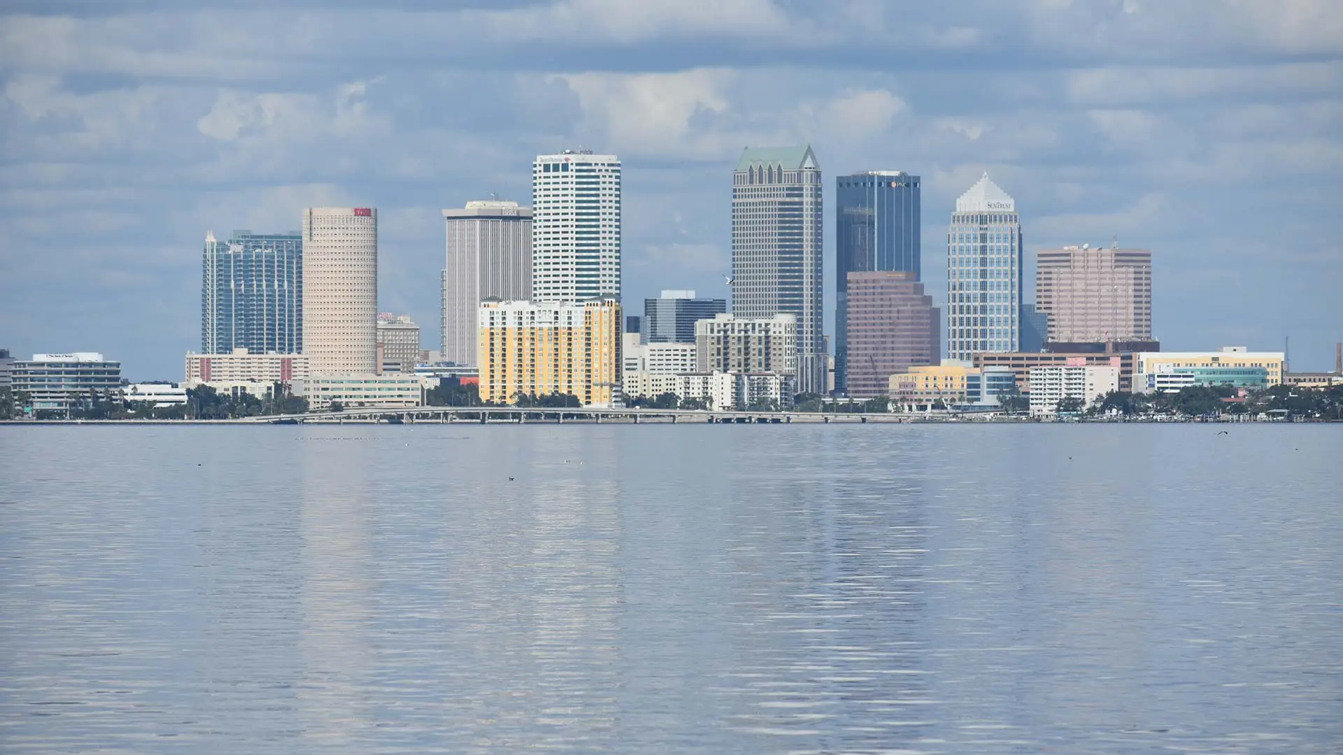 Skyline view of Tampa, FL across Tampa Bay.