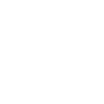 Private Investigation Services